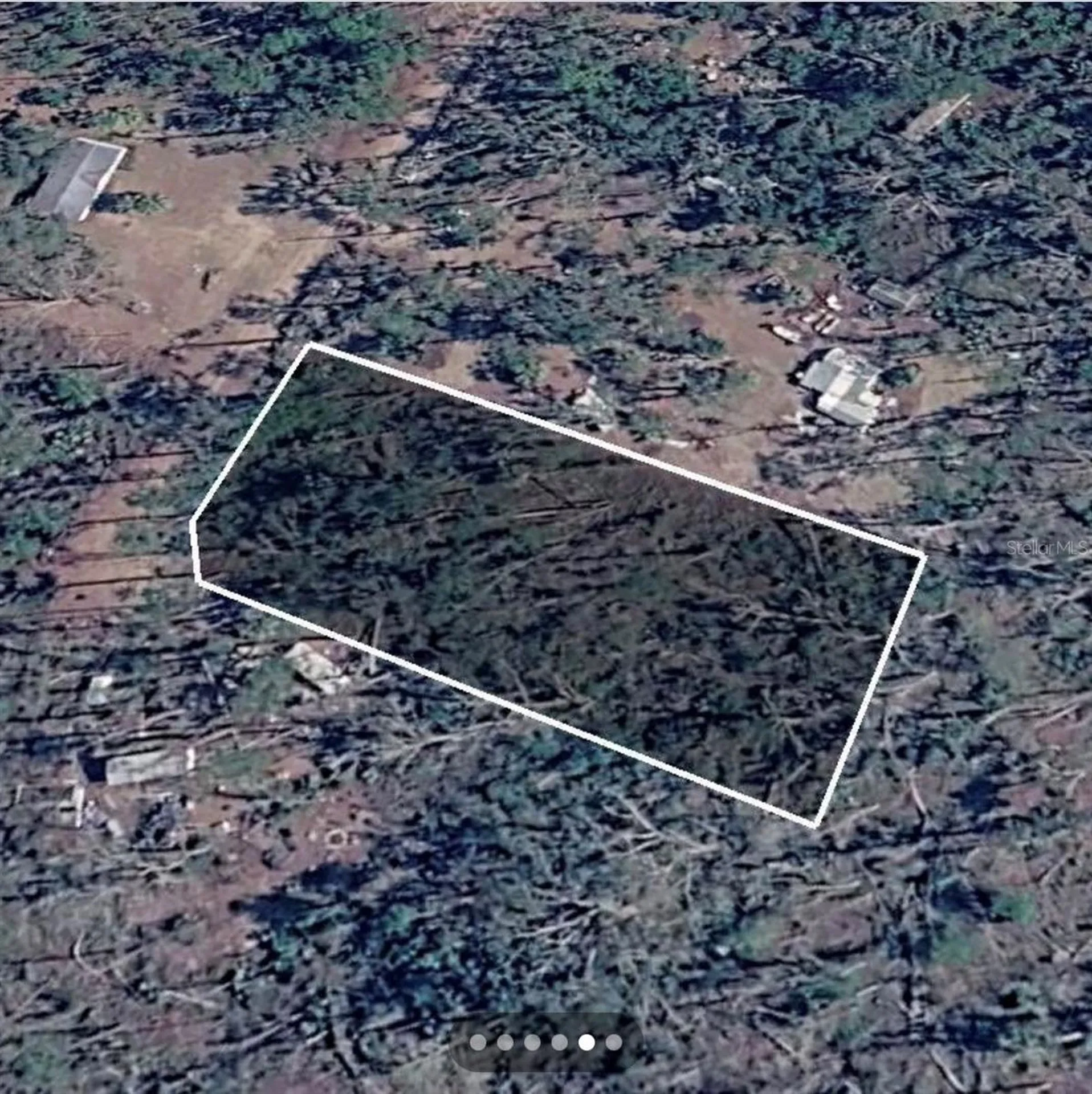 Dove Lane Perry FL 32348
