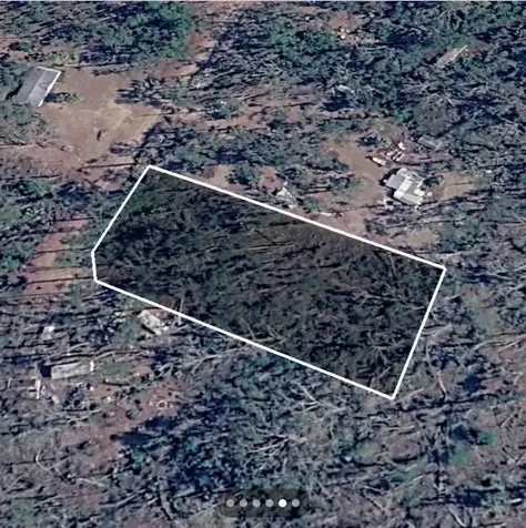 Dove Lane Perry FL 32348