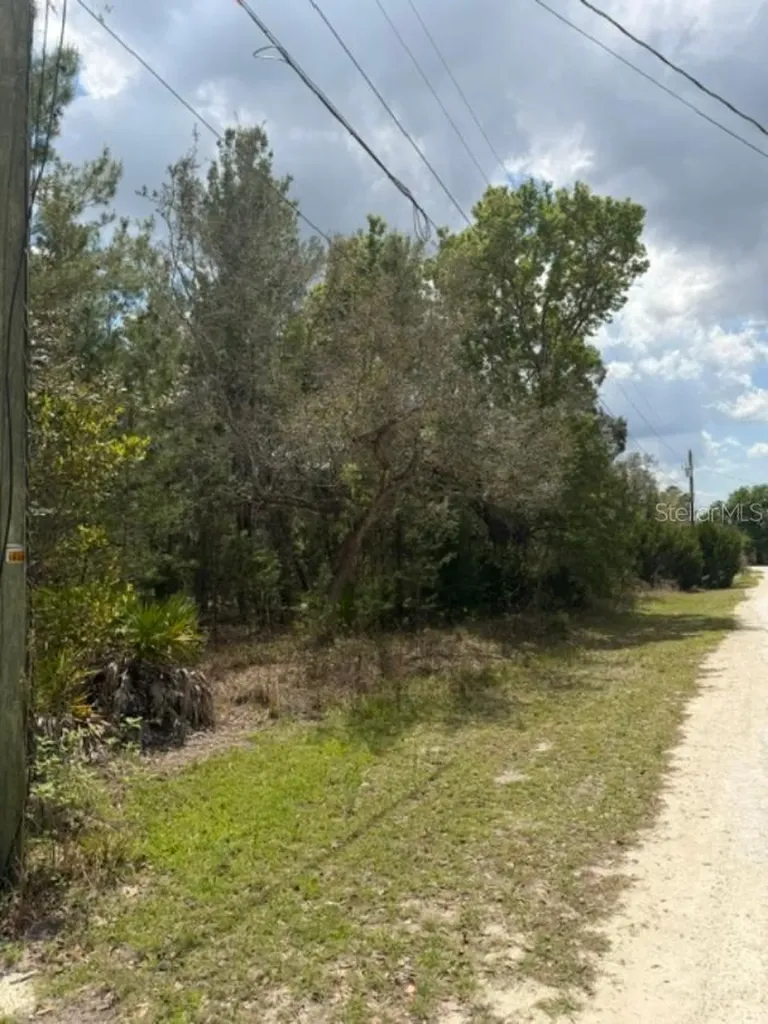 0 Bastian Court Weeki Wachee FL 34613