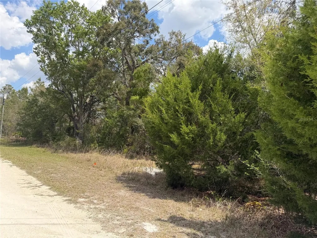 0 Bastian Court Weeki Wachee FL 34613