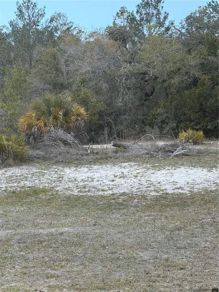 0 Bastian Court Weeki Wachee FL 34613