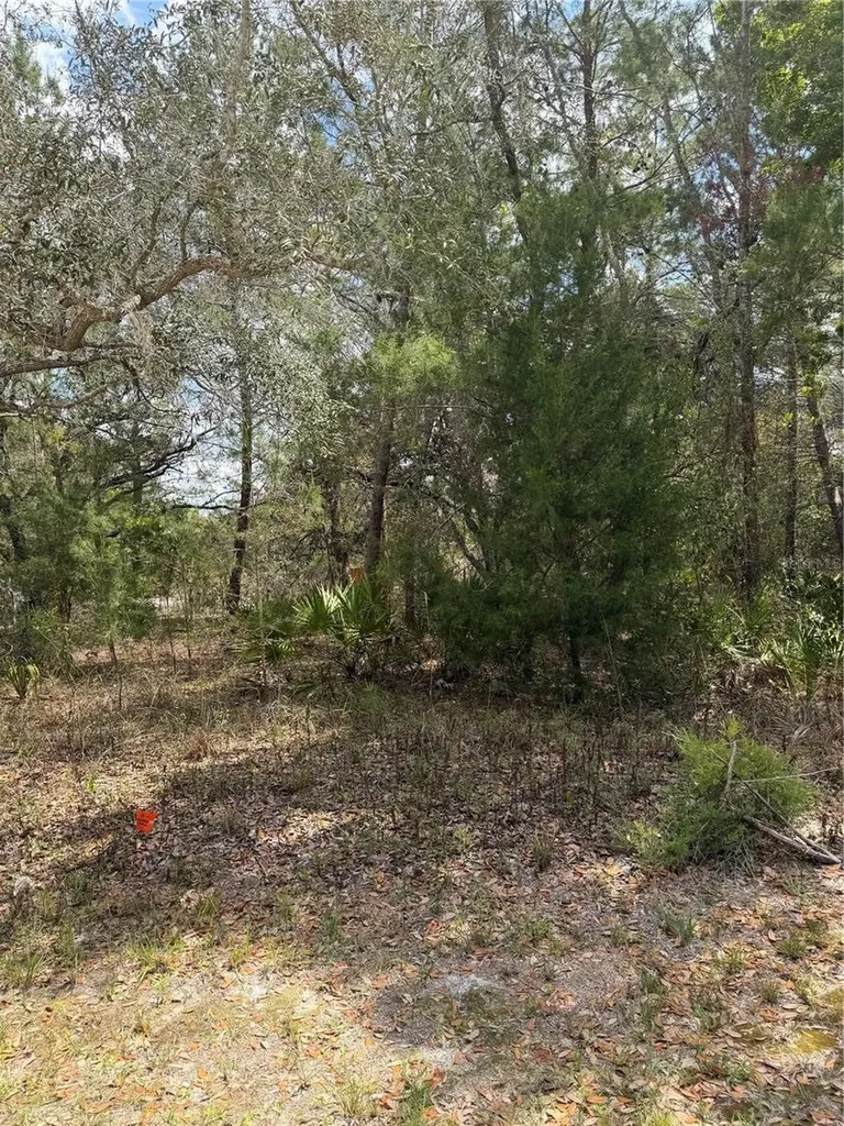 0 Bastian Court Weeki Wachee FL 34613