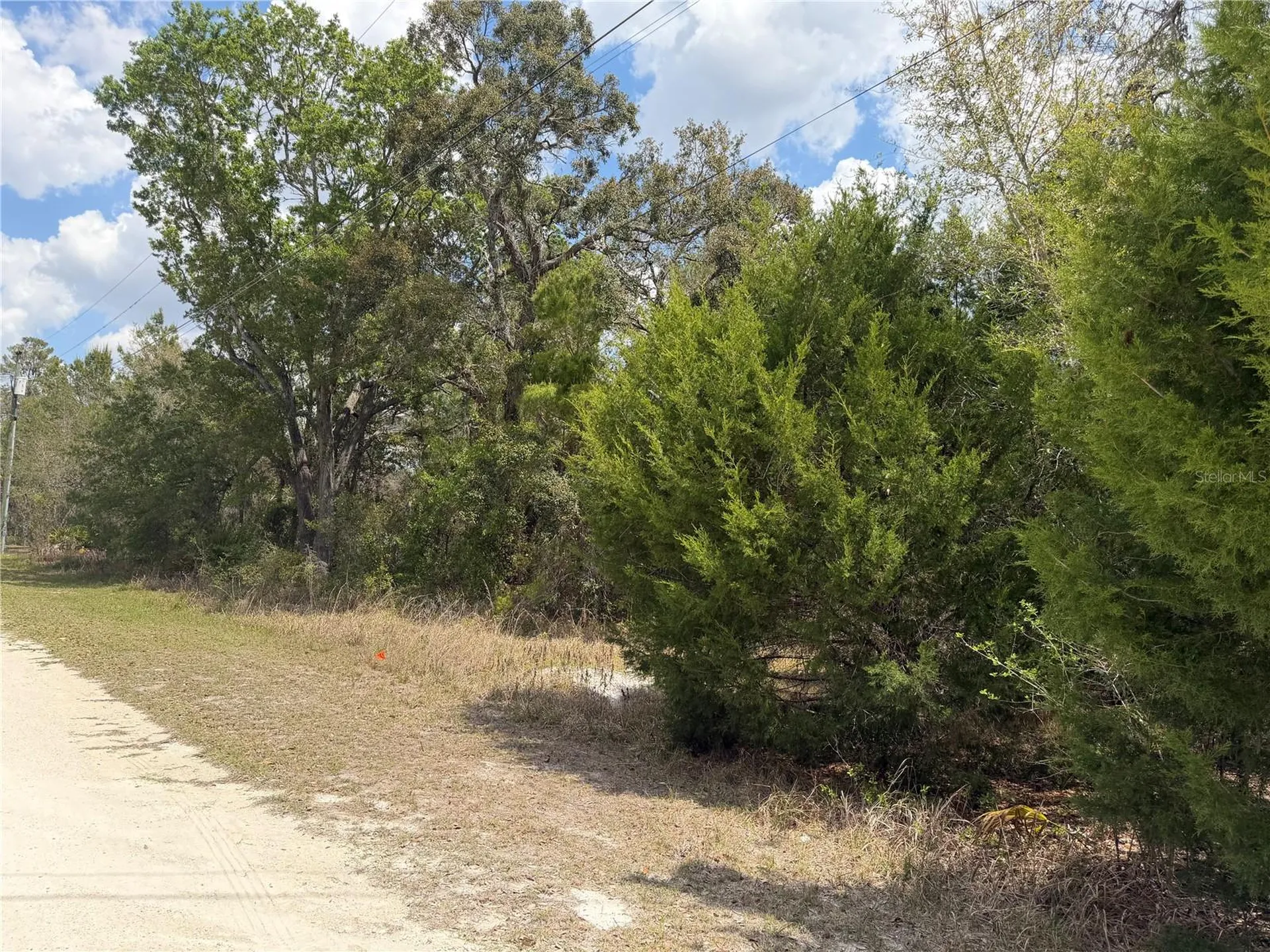 0 Bastian Court Weeki Wachee FL 34613