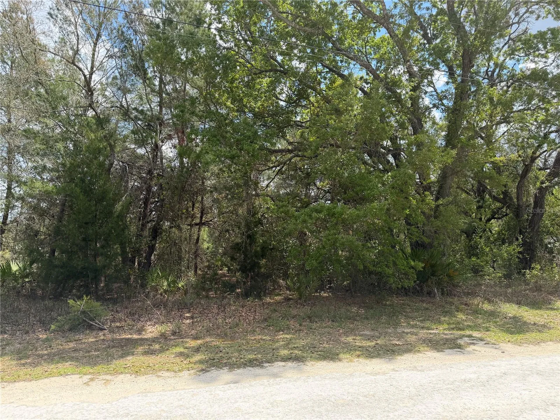 0 Bastian Court Weeki Wachee FL 34613