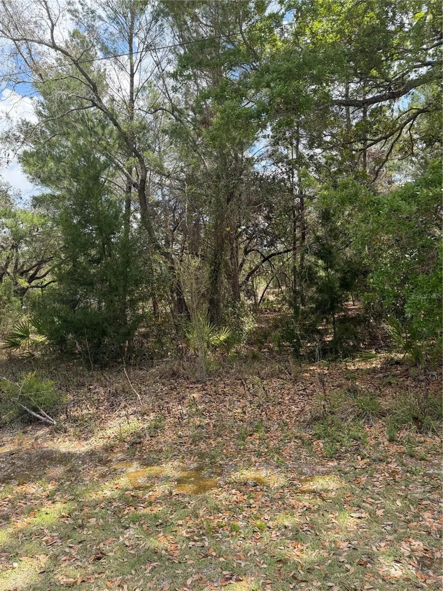 0 Bastian Court Weeki Wachee FL 34613