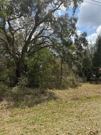 0 Bastian Court Weeki Wachee FL 34613