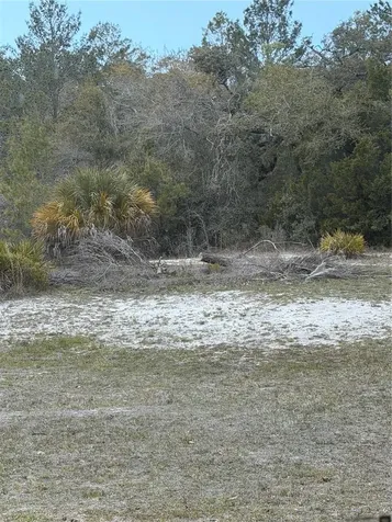 0 Bastian Court Weeki Wachee FL 34613