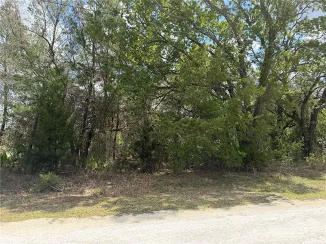 0 Bastian Court Weeki Wachee FL 34613