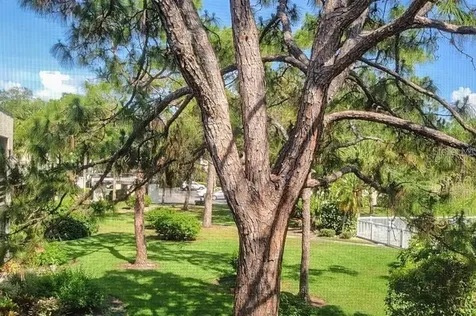 5018 Marshfield Road Sarasota FL 34235