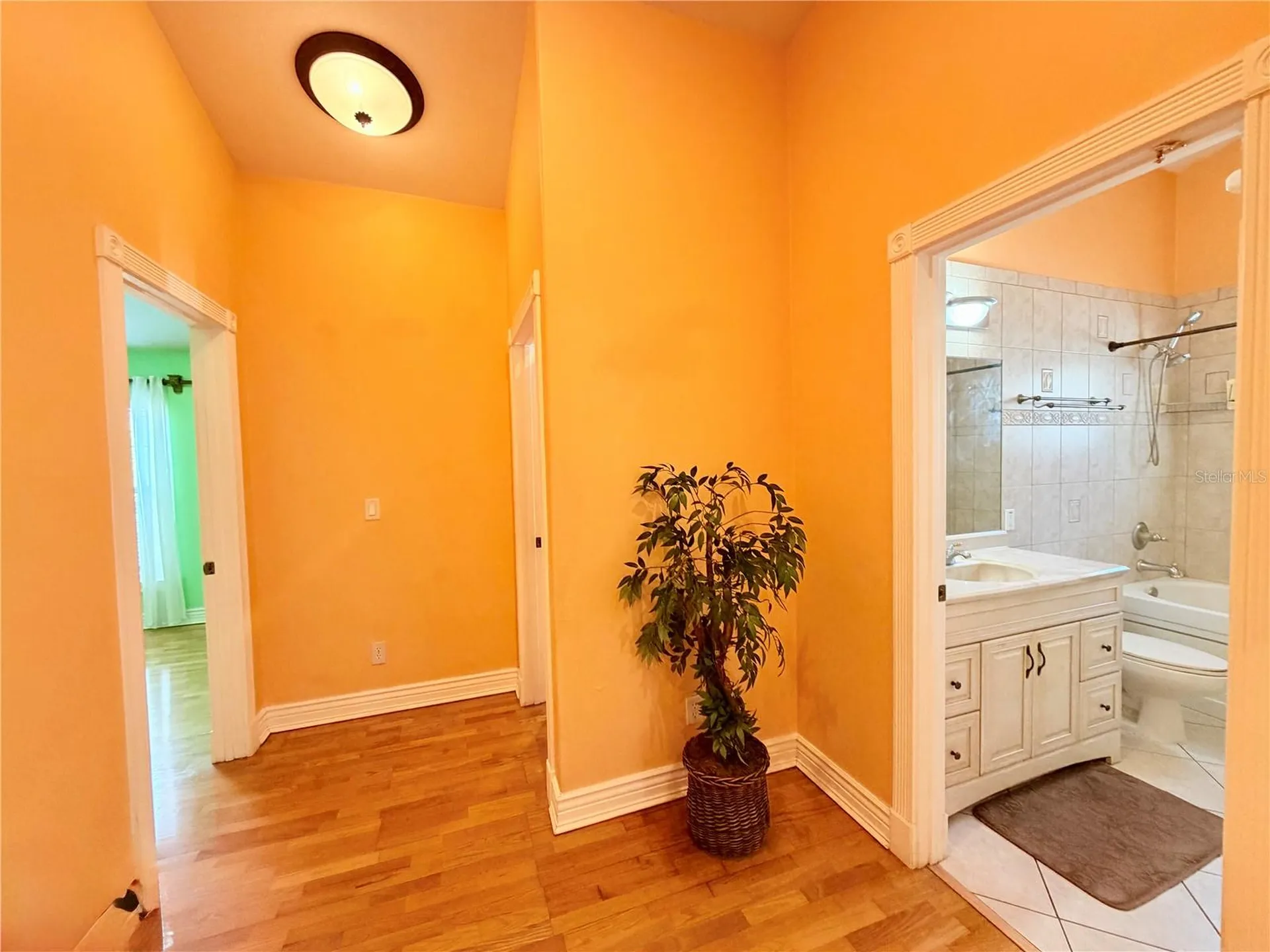 1150 Oakwood Drive Dunedin FL 34698