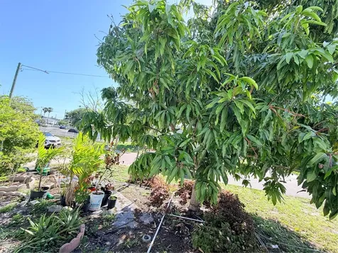 1150 Oakwood Drive Dunedin FL 34698