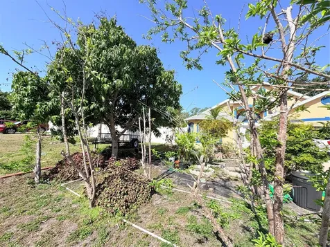 1150 Oakwood Drive Dunedin FL 34698
