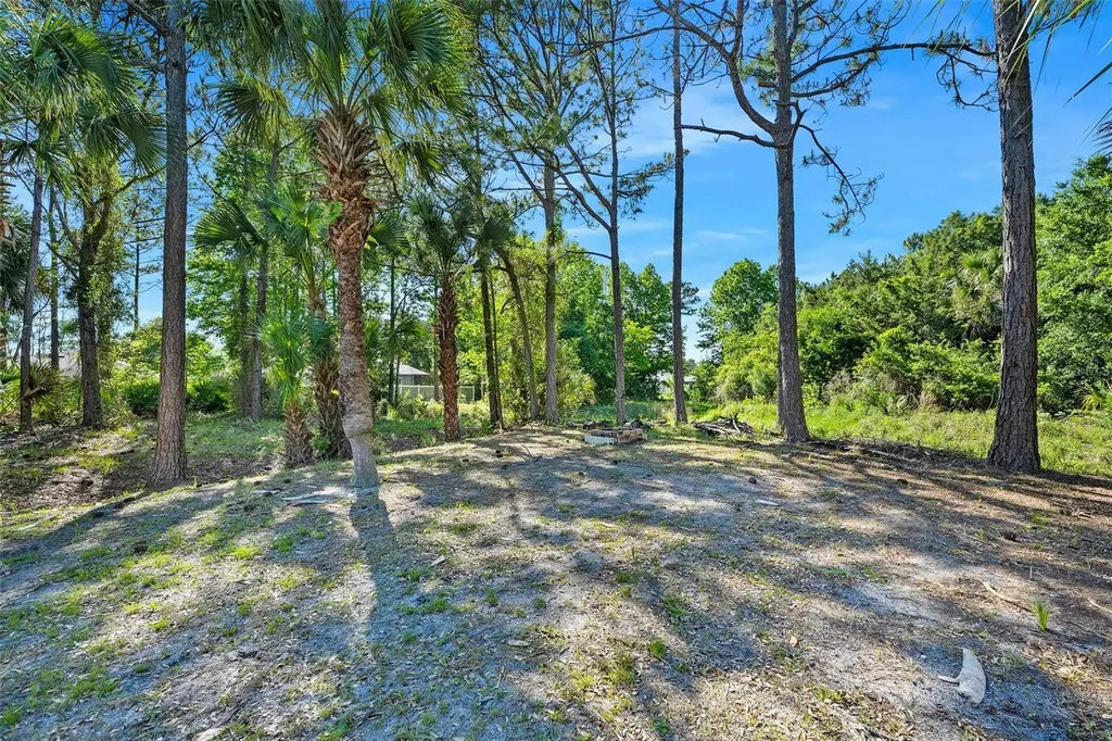 6 Big Horn Place Palm Coast FL 32137