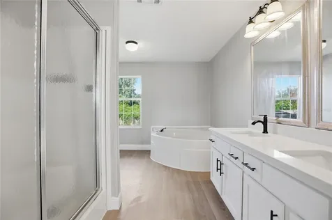 3204 Silver Lake Court Kissimmee FL 34744