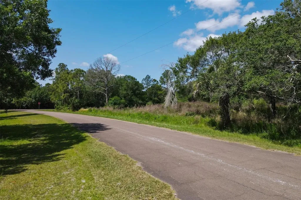 1729 Shenandoah Road Wimauma FL 33598