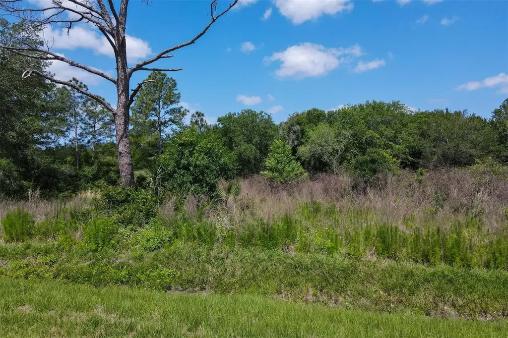1729 Shenandoah Road Wimauma FL 33598