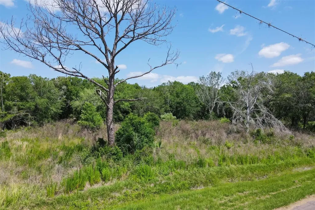 1729 Shenandoah Road Wimauma FL 33598
