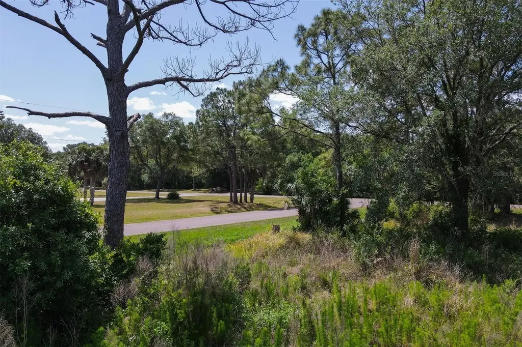 1729 Shenandoah Road Wimauma FL 33598