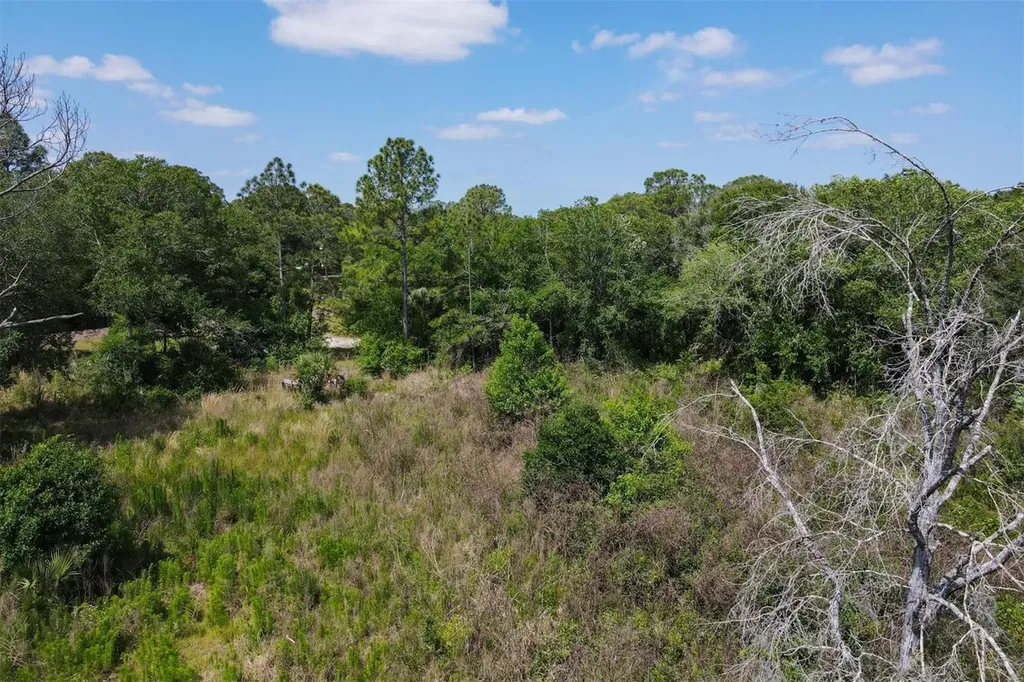 1729 Shenandoah Road Wimauma FL 33598