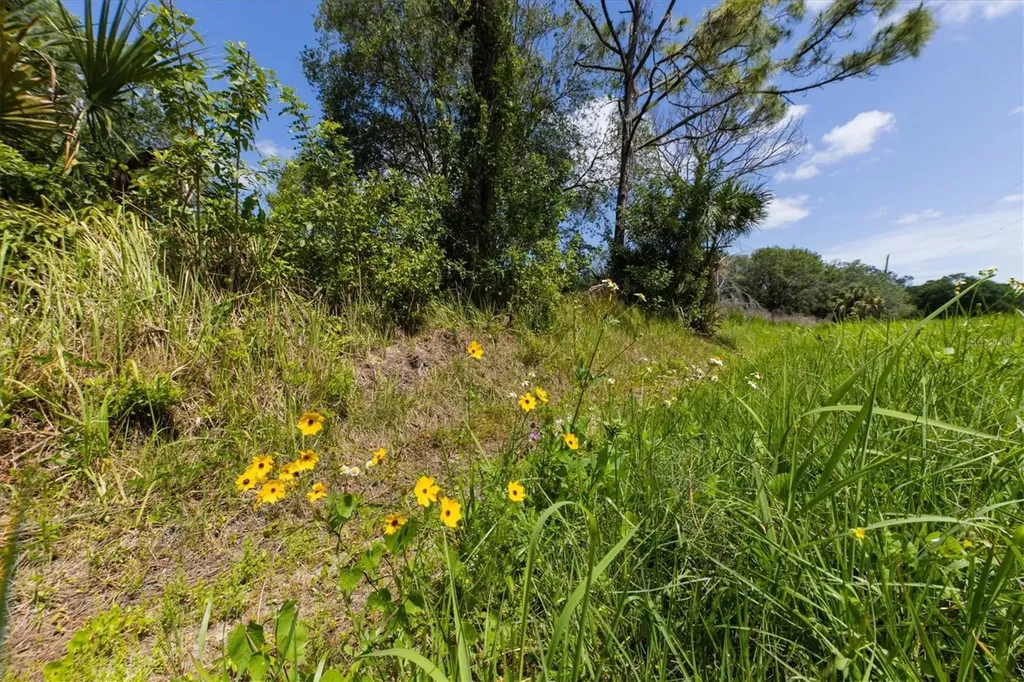 1729 Shenandoah Road Wimauma FL 33598