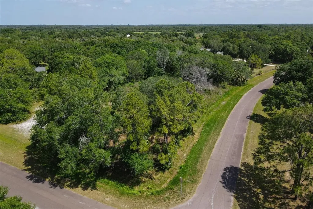 1729 Shenandoah Road Wimauma FL 33598