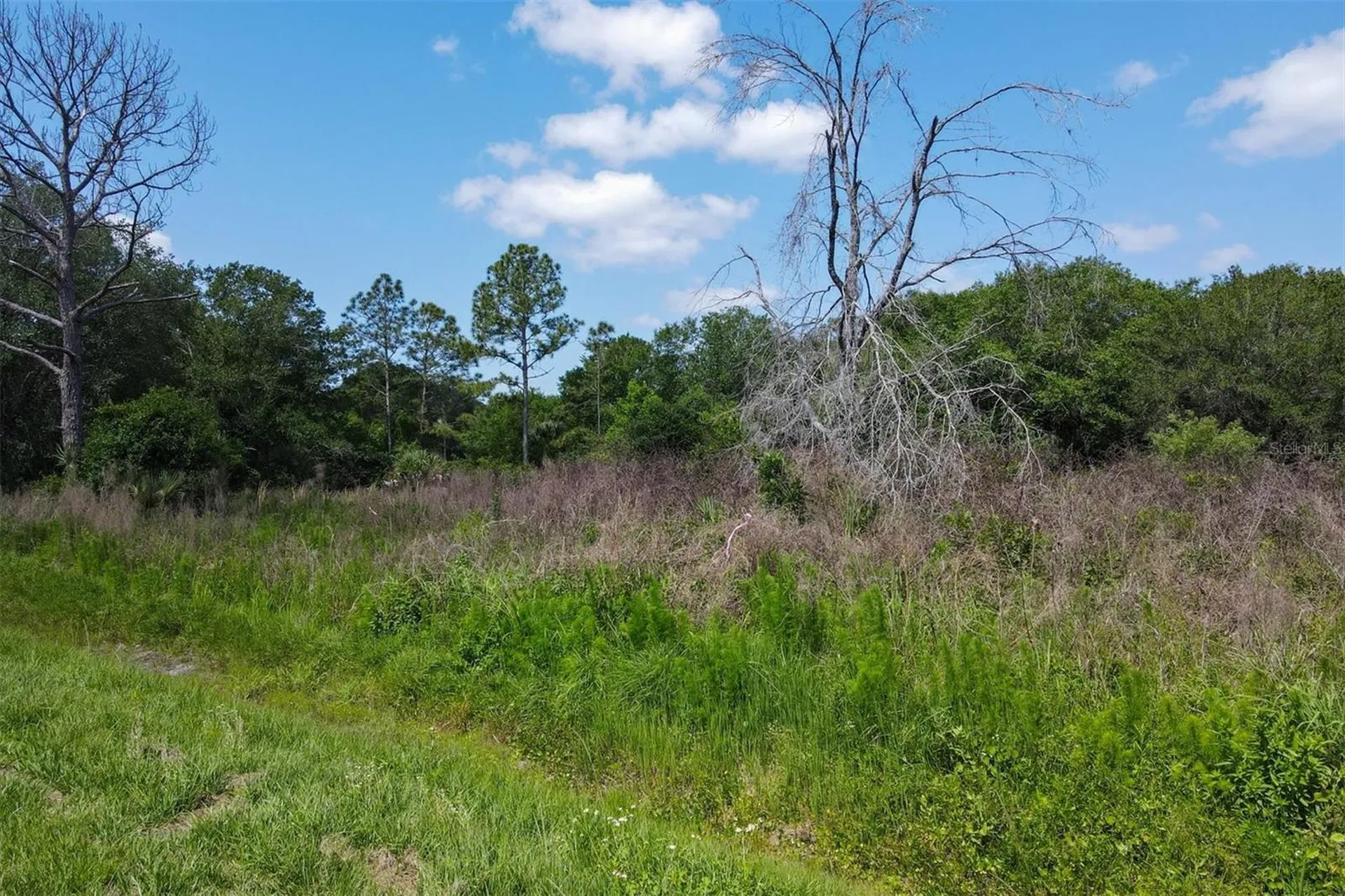 1729 Shenandoah Road Wimauma FL 33598