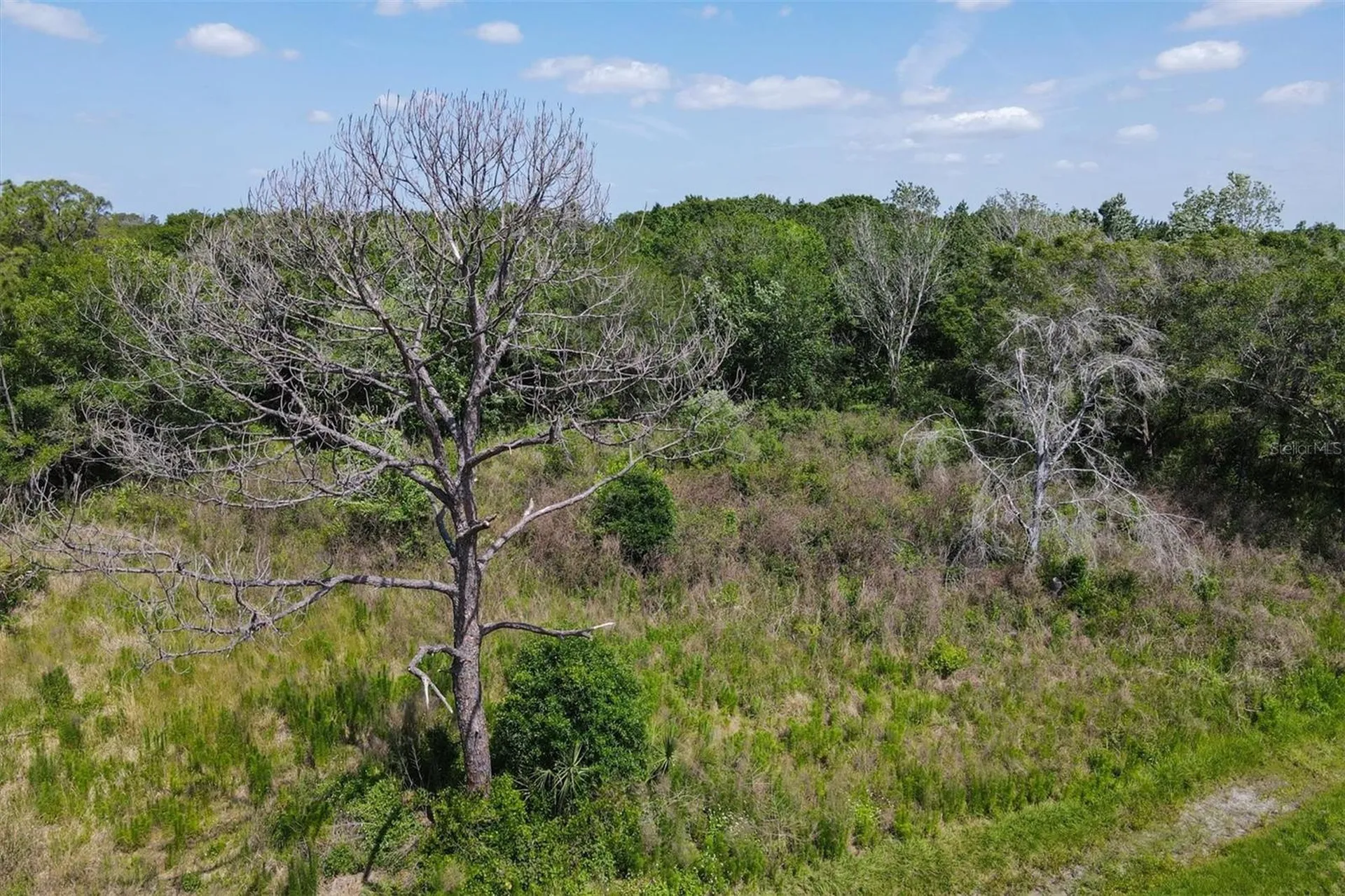 1729 Shenandoah Road Wimauma FL 33598