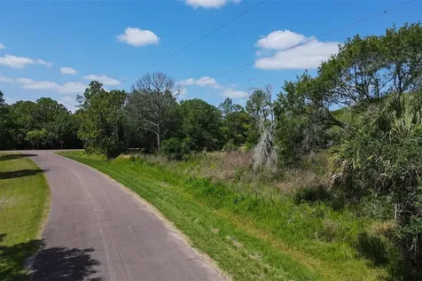 1729 Shenandoah Road Wimauma FL 33598