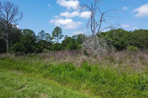 1729 Shenandoah Road Wimauma FL 33598