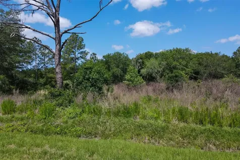 1729 Shenandoah Road Wimauma FL 33598