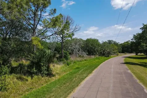 1729 Shenandoah Road Wimauma FL 33598