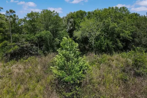 1729 Shenandoah Road Wimauma FL 33598
