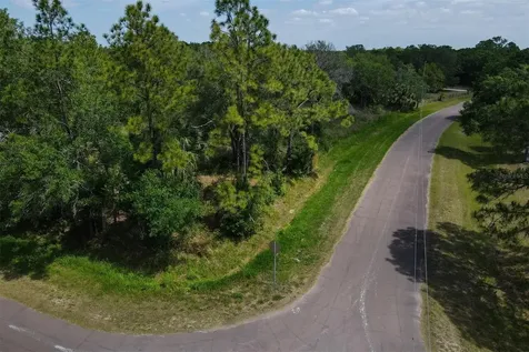 1729 Shenandoah Road Wimauma FL 33598
