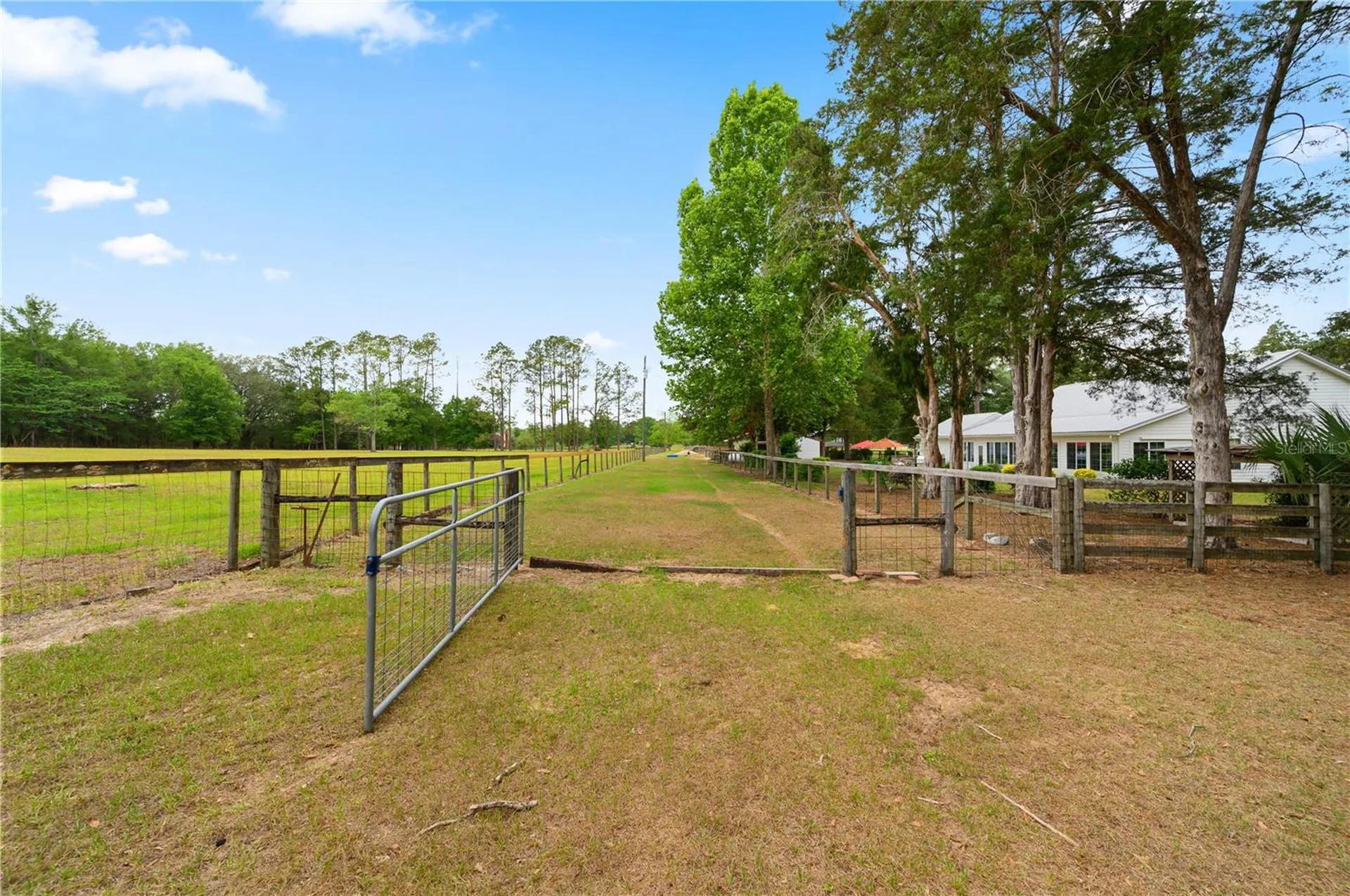 8822 NW 170th Street Alachua FL 32615