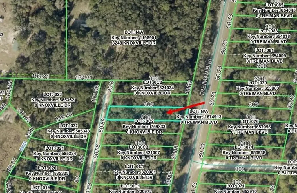 Knoxville Drive Webster FL 33597