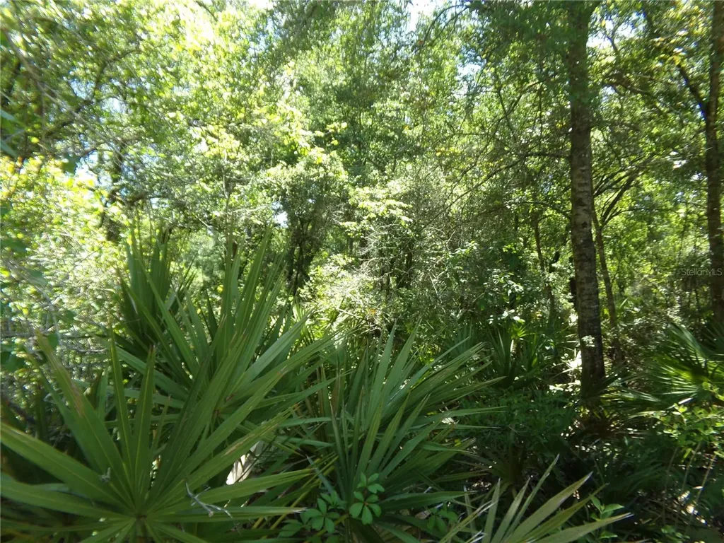 Knoxville Drive Webster FL 33597