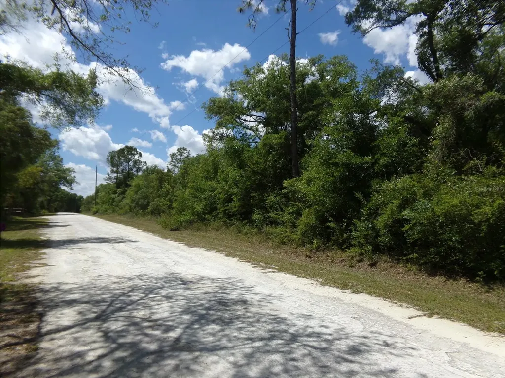 Knoxville Drive Webster FL 33597