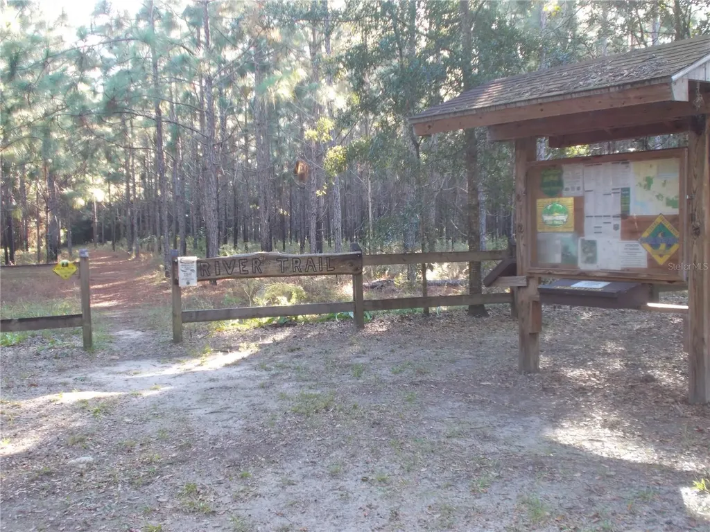 Knoxville Drive Webster FL 33597
