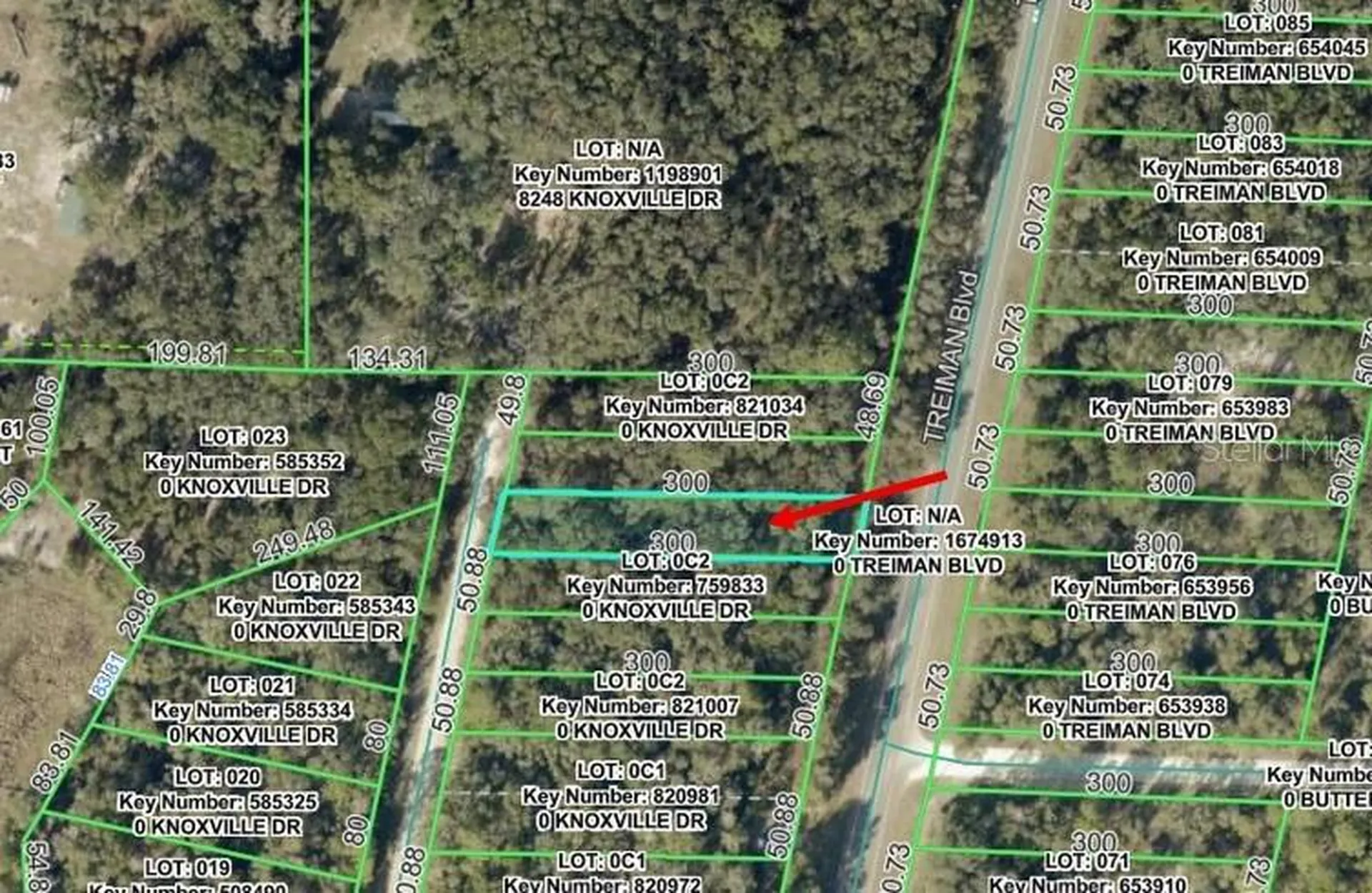 Knoxville Drive Webster FL 33597