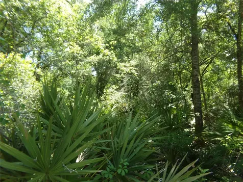 Knoxville Drive Webster FL 33597
