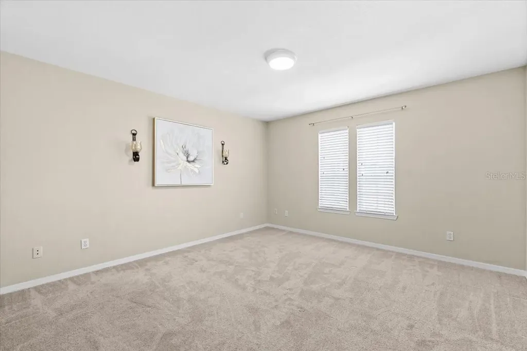 4007 Foxtail Palm Court Tampa FL 33624