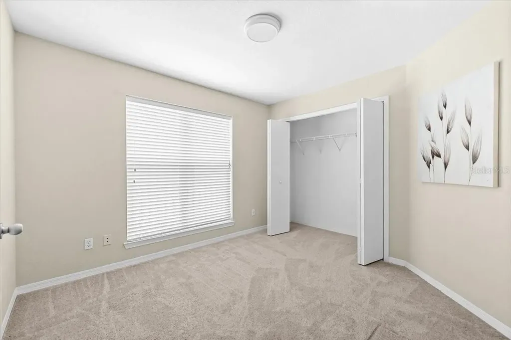 4007 Foxtail Palm Court Tampa FL 33624