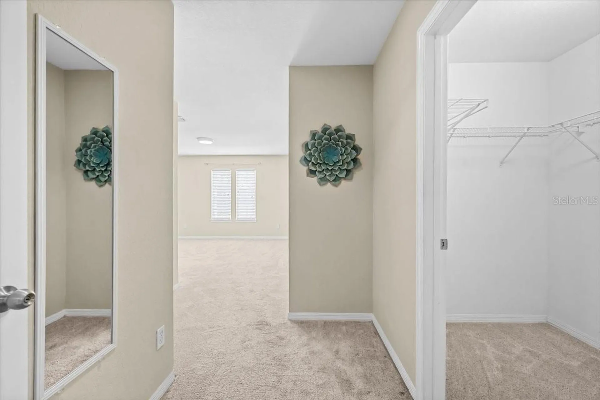 4007 Foxtail Palm Court Tampa FL 33624