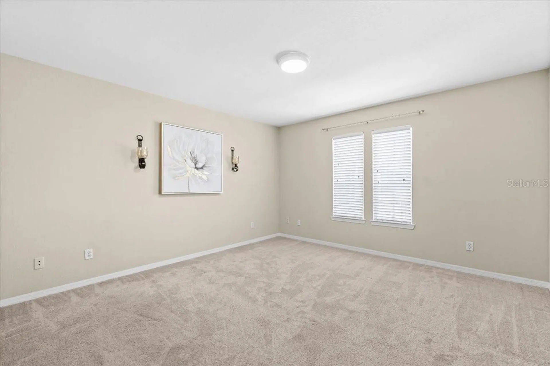 4007 Foxtail Palm Court Tampa FL 33624