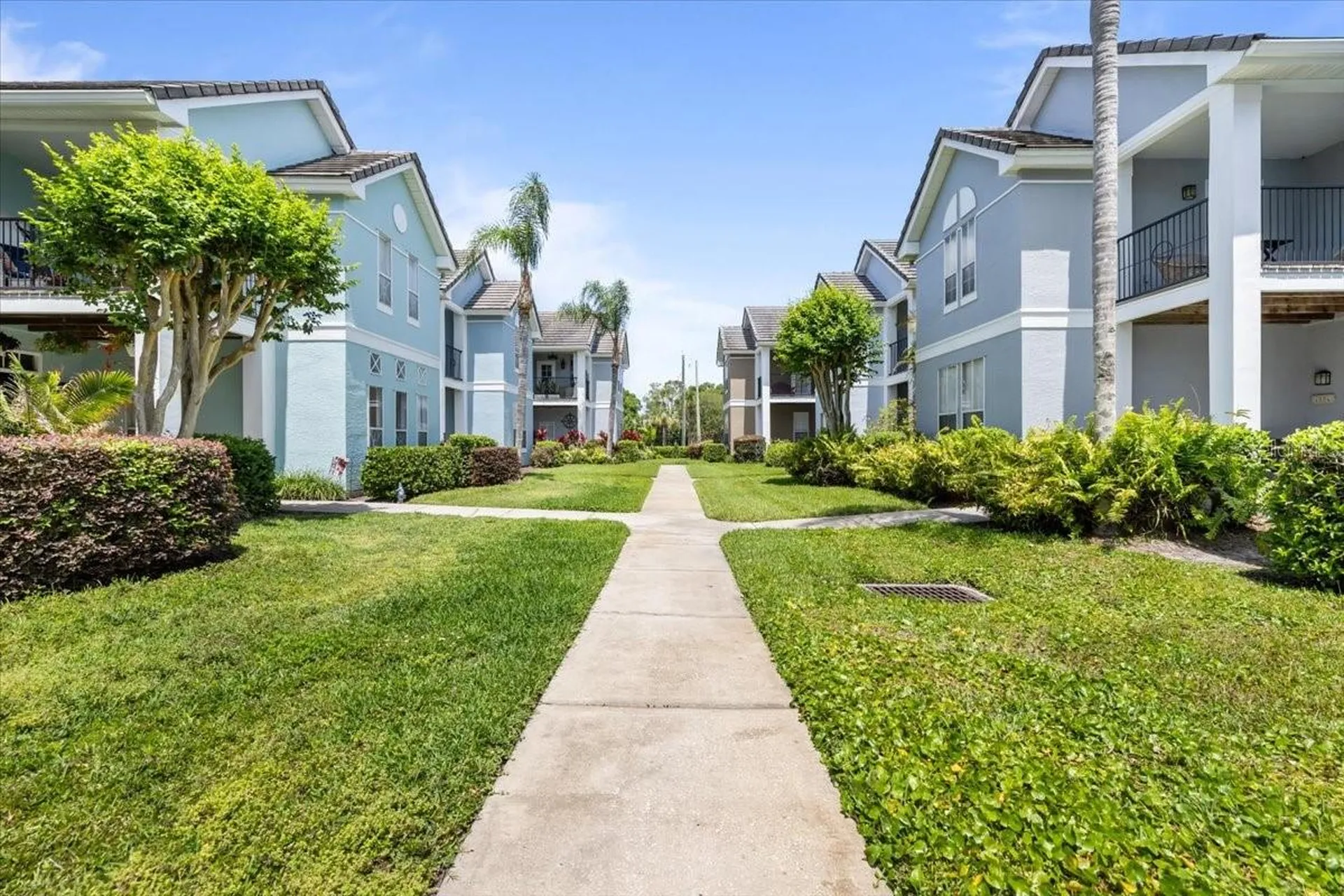 4007 Foxtail Palm Court Tampa FL 33624