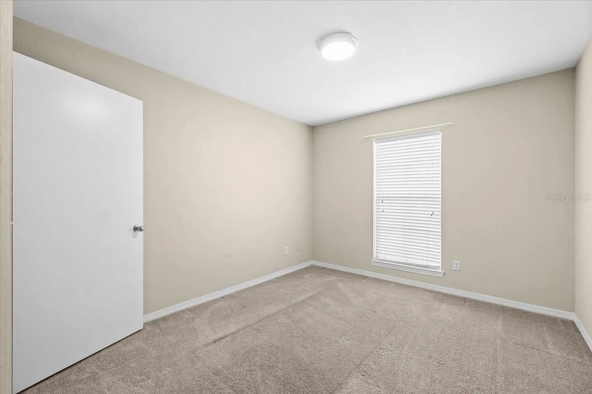4007 Foxtail Palm Court Tampa FL 33624