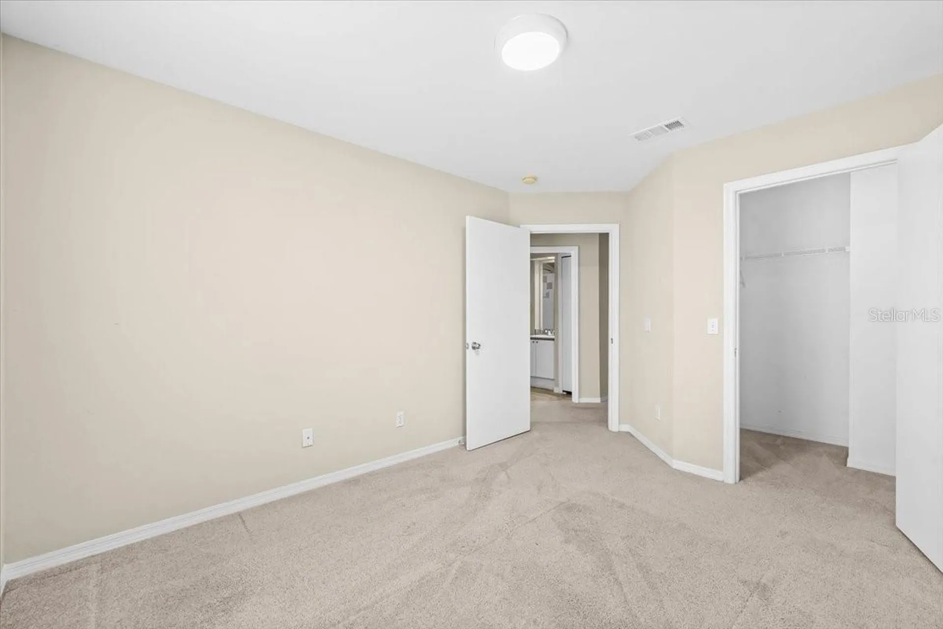4007 Foxtail Palm Court Tampa FL 33624