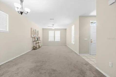 4007 Foxtail Palm Court Tampa FL 33624