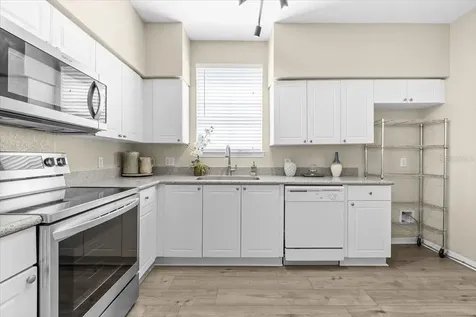 4007 Foxtail Palm Court Tampa FL 33624