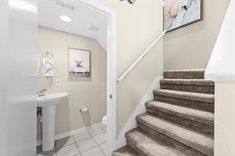 4007 Foxtail Palm Court Tampa FL 33624